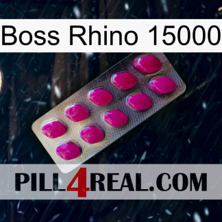 Boss Rhino 15000 09
